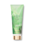 Victoria's Secret Beneath The Palms Fragrance Lotion 8 Oz image 0