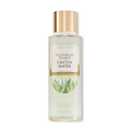 Victoria's Secret Desert Wonders Fragrance Mist Collection, 8.4 Fl Oz (Cactus Water) image 0