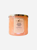 Orange Pineapple Punch Candle 14.5 oz / 411 g