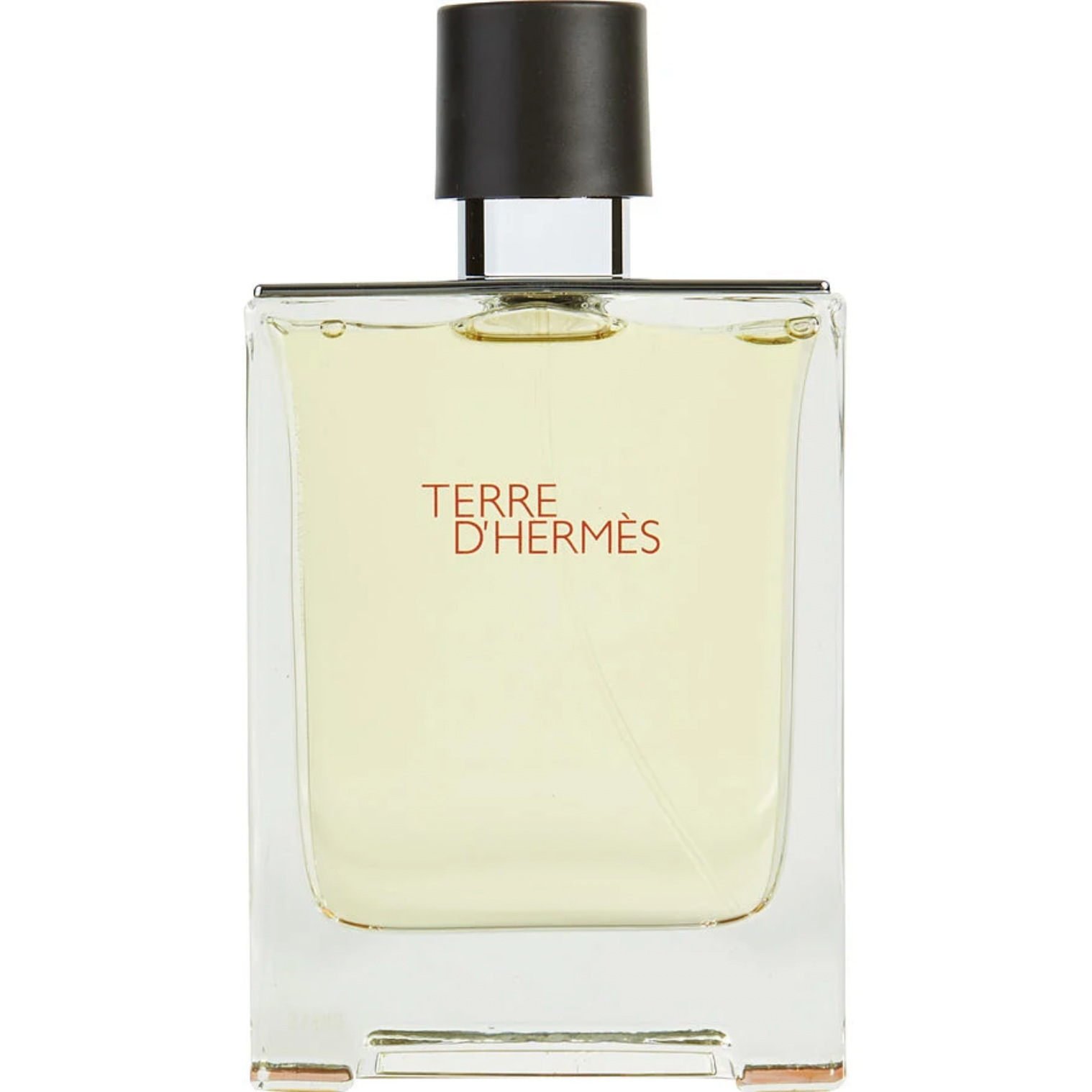 Terre d'Hermes men Eau De Toilette Spray For Men image 0